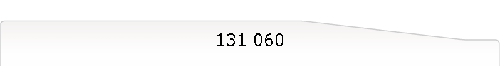 131 060